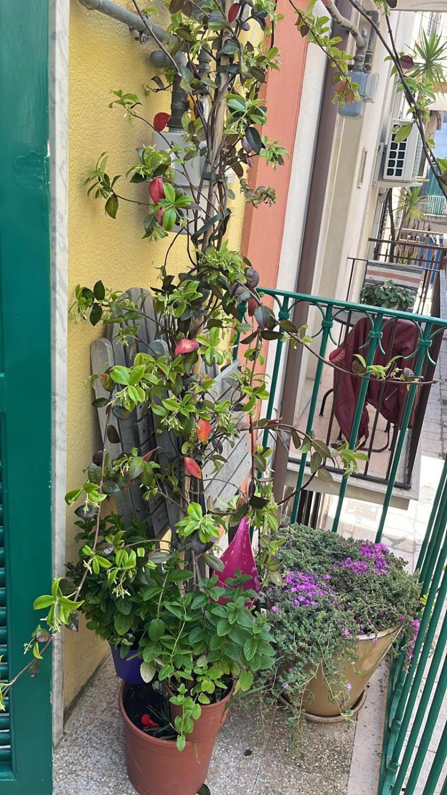 La Casa Di Nonna Sisina Vila Mola di Bari Exterior foto